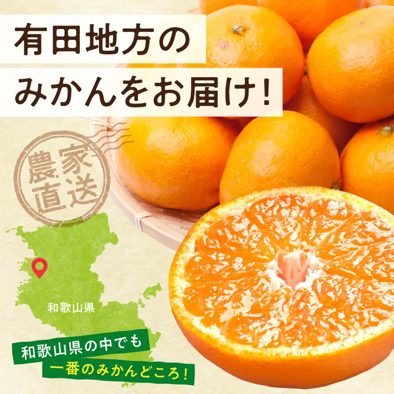 厳選 完熟有田みかん約2.5kg+250g（傷み補償分）【光センサー選果】_ZH7122