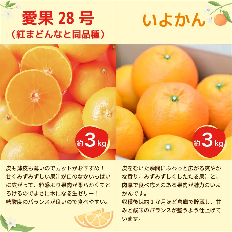 柑橘 定期便 【全4回】 愛媛柑橘定期便 【2026年11月下旬頃順次発送】 | あいか いよかん はるか みかん 紅まどんな と同品種 紅プリンセス と同品種 定期便 お楽しみ 旬 フルーツ 果物 定期便 果物 愛媛県 松山市【HMN019】