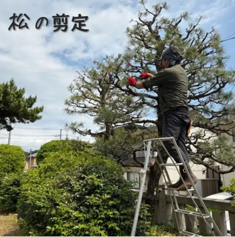 お庭のお手入れサービス（剪定・伐採・除草）10,000円分【蒲郡市内対象】_【G0781】