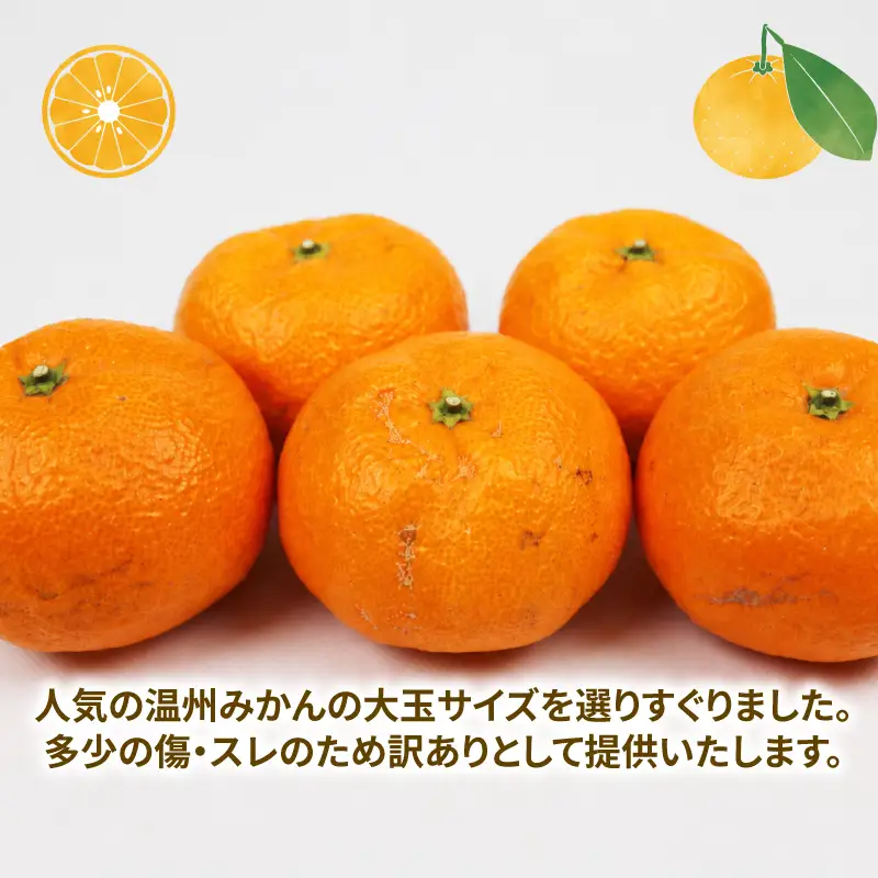 訳あり 大玉 みかん 7kg 温州みかん 先行予約 玉津柑橘倶楽部 温州 蜜柑 大玉みかん 甘い 果物 くだもの フルーツ 柑橘 mikan 愛媛蜜柑 愛媛みかん 愛媛ミカン ミカン わけあり サイズ 不揃い 産地直送 数量限定 国産 愛媛 宇和島 B005-072054