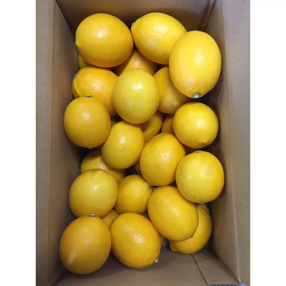 ［2027年1月中旬より順次発送］和歌山県産 レモン 約5kg 秀品 （サイズ混合）［まごころ手選別］［US74］
