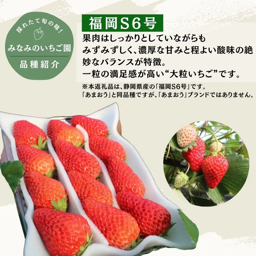 いちご【2027年発送】福岡S6号 2パック×280g 完熟いちご