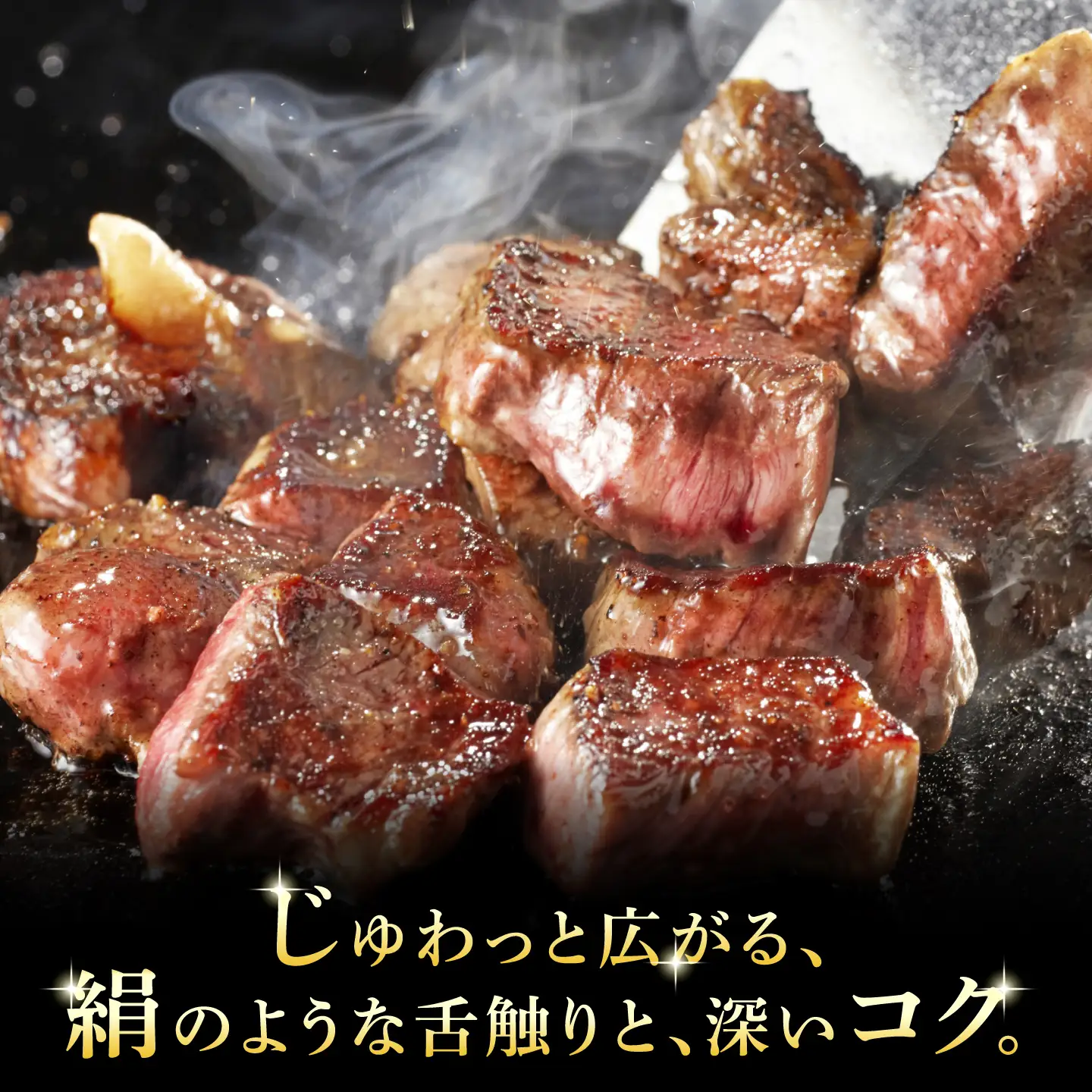 A5等級 飛騨牛 サイコロステーキ 霜降り 500g (約250g×2P) 瑞浪市 / マルチョウ渡辺精肉店 牛肉 和牛 国産 ギフト お取り寄せ[AZCW006]
