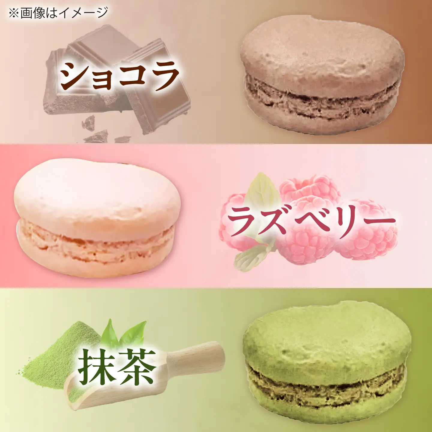 マカロン 10個入り 洋菓子 マカロン スイーツ 愛西市 / スイーツカフェハル[AEDP005]