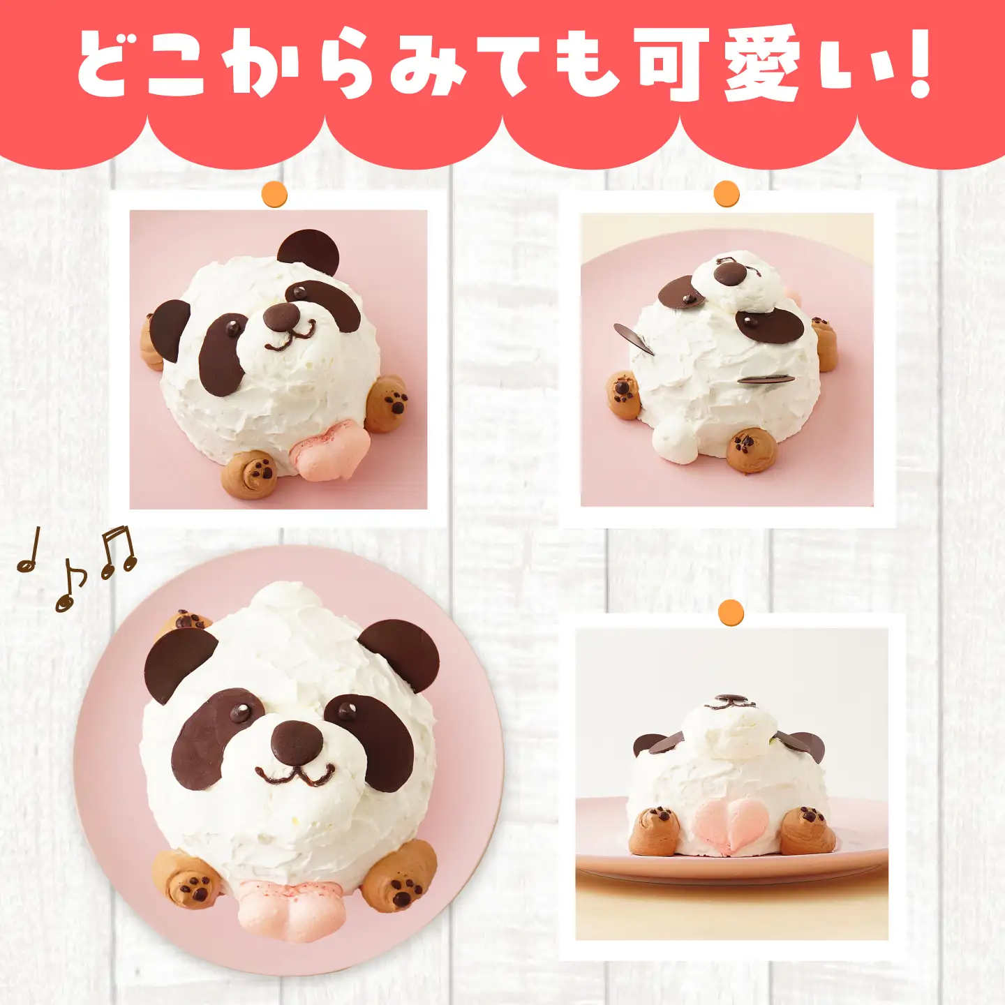 ケーキ パンダケーキ 4号 スイーツ ケーキ ホールケーキ 愛西市 / スイーツカフェハル[AEDP009]