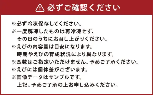 森さん家の冷凍車えび 活き〆冷凍車海老750g（約24～45尾）車海老 くるまえび 車えび 国産 天草の海 冷凍【2027年3月下旬まで順次発送予定】