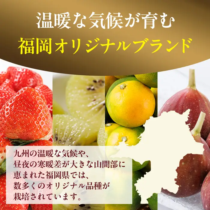 ＜全4回・定期便＞ 福岡ブランド！季節のご褒美 フルーツ定期便 (総計約8.8kg) あまおう とよみつひめ 早味かん 甘うぃ いちご 苺 いちじく みかん 蜜柑 キウイ フルーツ 果物 くだもの ＜離島配送不可＞【ksg1918】【農産物直売所ほたるの里】