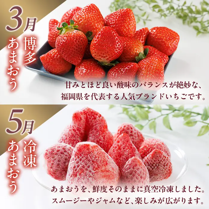 ＜全6回・定期便＞ 福岡ブランド！旬果と冷凍 フルーツ定期便 (総計約13.4kg) あまおう とよみつひめ 秋王 早味かん 甘うぃ いちご 苺 柿 いちじく みかん 蜜柑 キウイ フルーツ 果物 ＜離島配送不可＞【ksg1919】【農産物直売所ほたるの里】