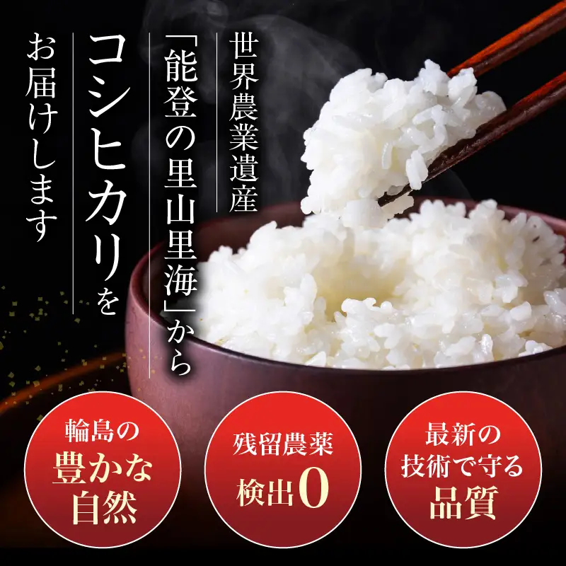 6月発送 R8年産 コシヒカリ 2kg 無洗米 wa084 無洗米 米