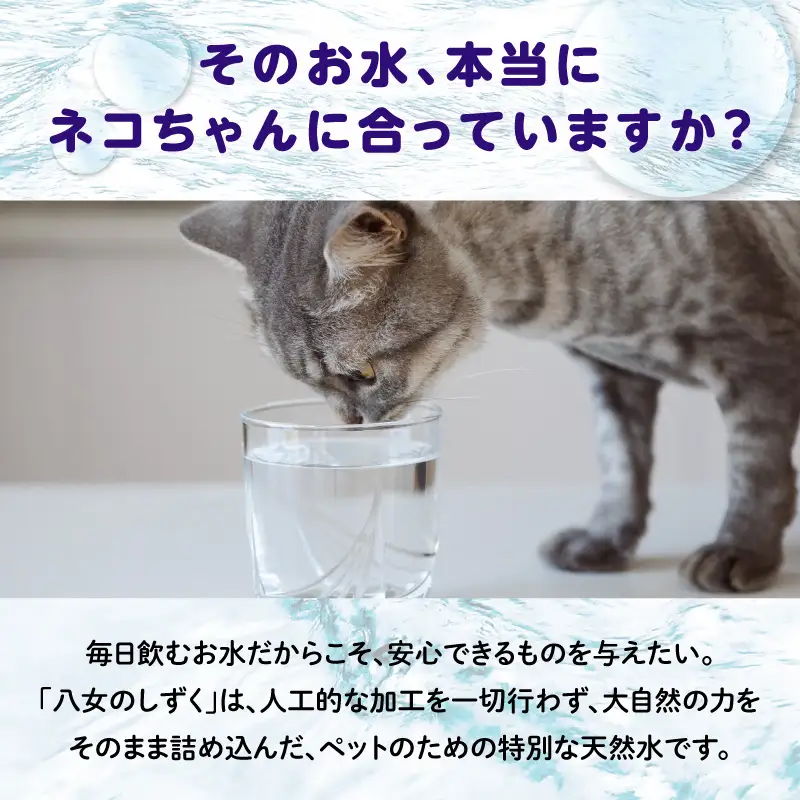 ネコ専用非加熱天然水 八女のしずく （2L×6本） 八女のしずく ねこ専用水 猫用天然水 ペット用天然水 超低カリウム 尿路結石配慮 軟水 pH 7.3 非加熱 猫の健康 水分補給 八女 016-038