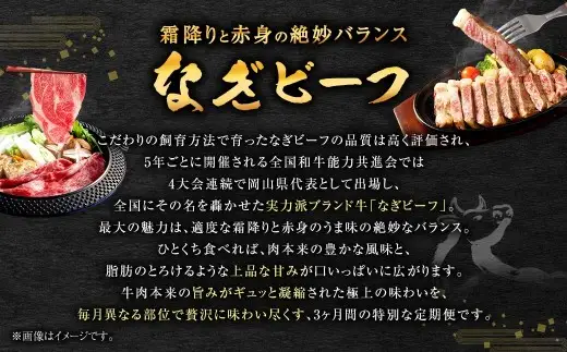 【 全3回定期便 】 岡山県産 なぎビーフ 極上食べ尽くし セット お肉 肉 おにく にく 牛肉 ぎゅうにく 国産 ブランド牛 詰め合わせ シャトーブリアン ステーキ ロース 焼肉 すきやき しゃぶしゃぶ