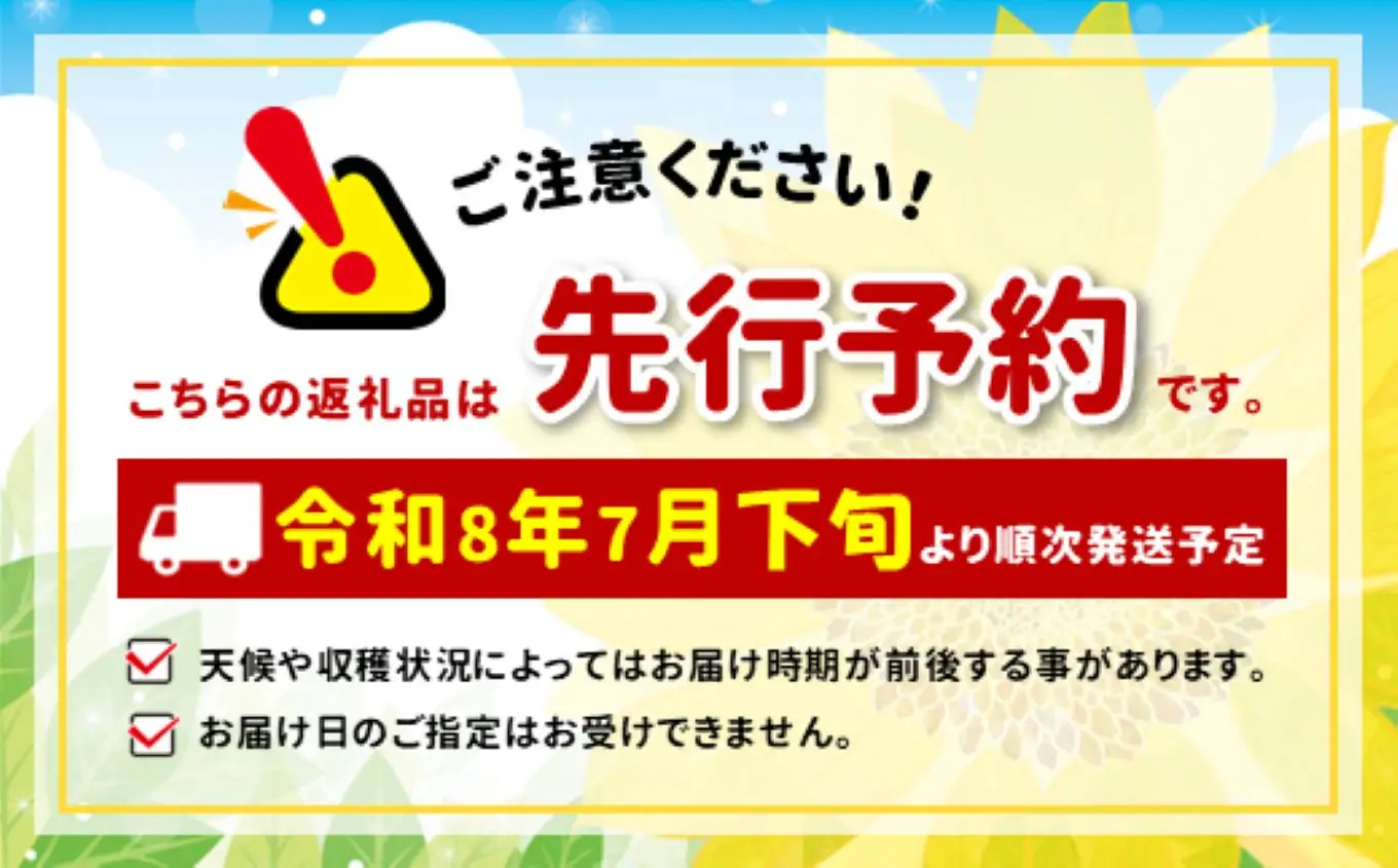 ふぞろい中玉トマト約1.5kg 七久里農園【009-63】