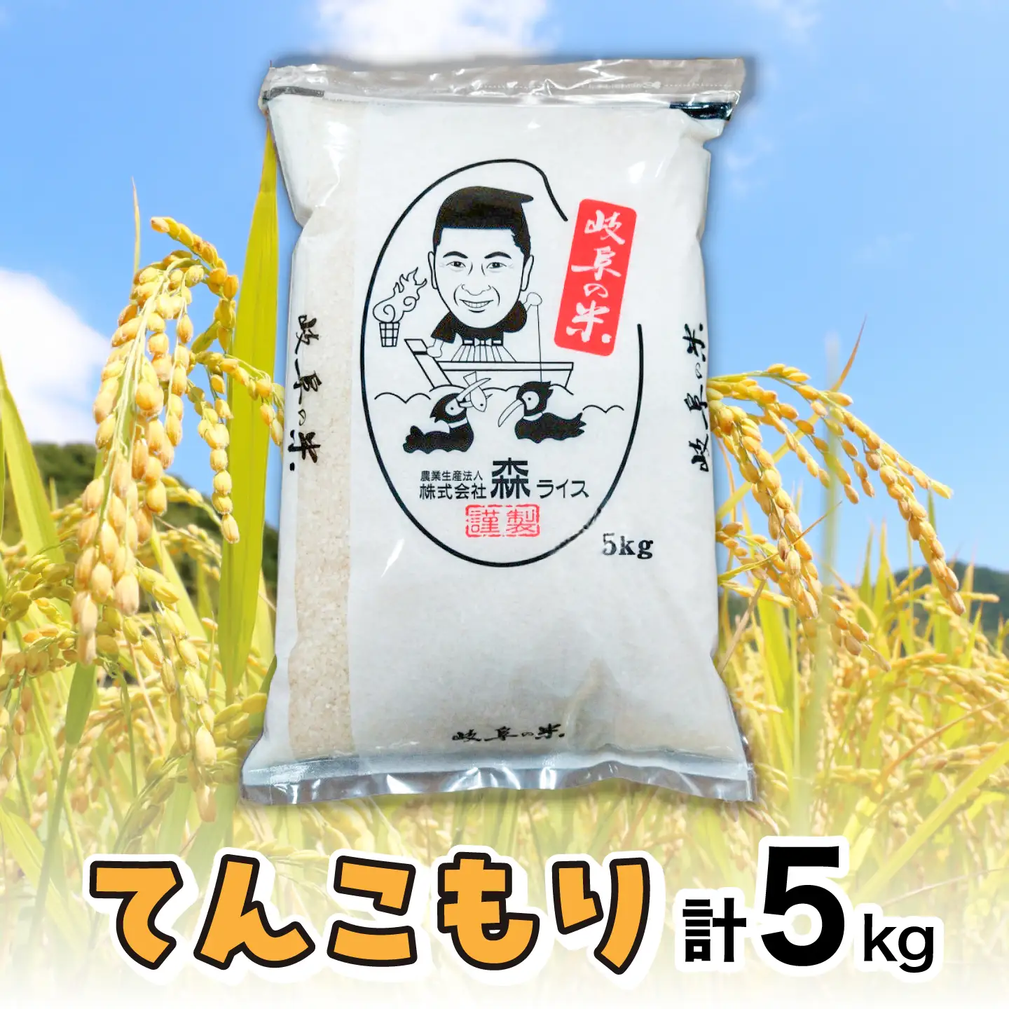 てんこもり 5kg 白米 米 精米 お米 岐阜市 / 森ライス[ANCU015]