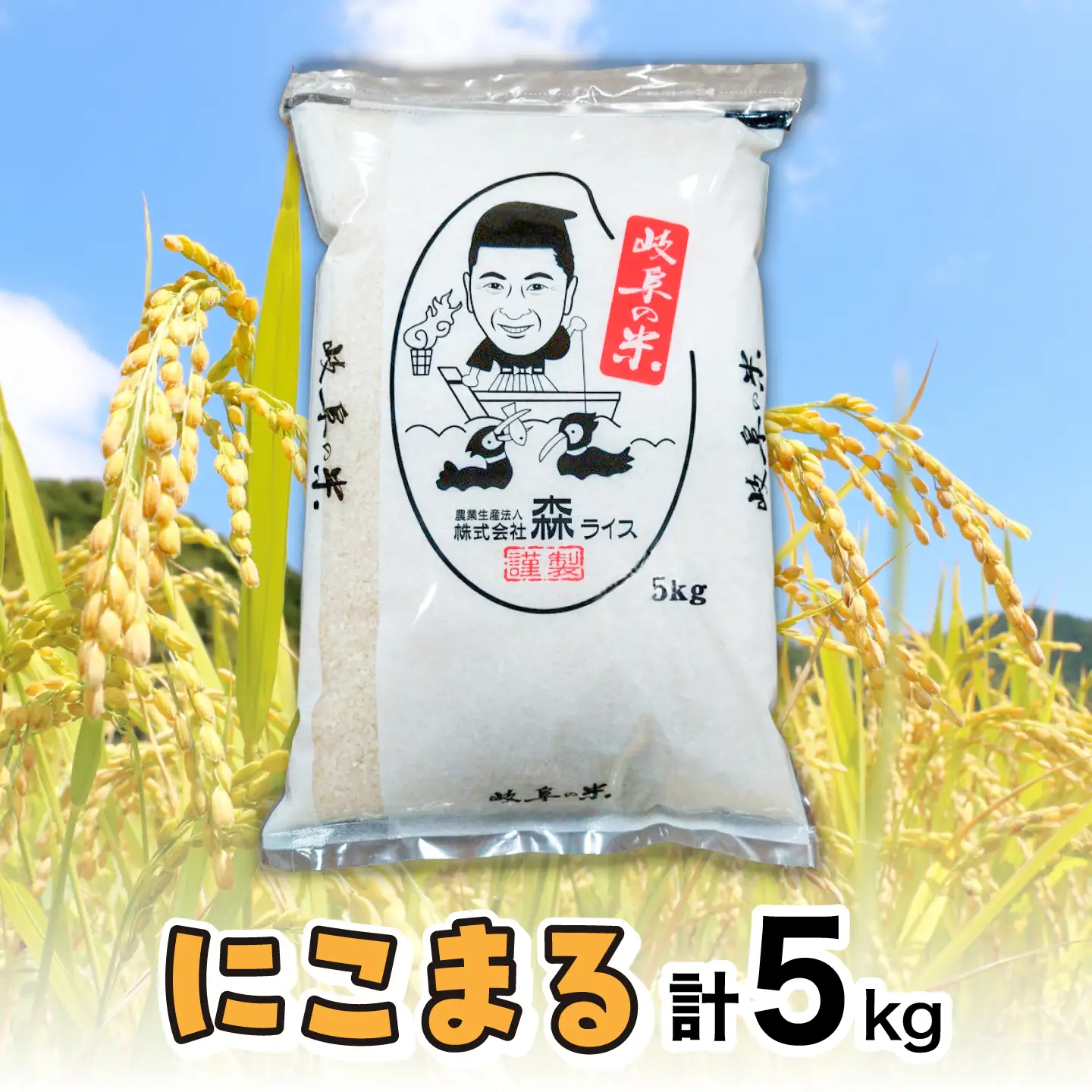 にこまる 5kg 白米 米 精米 お米 岐阜市 / 森ライス[ANCU016]