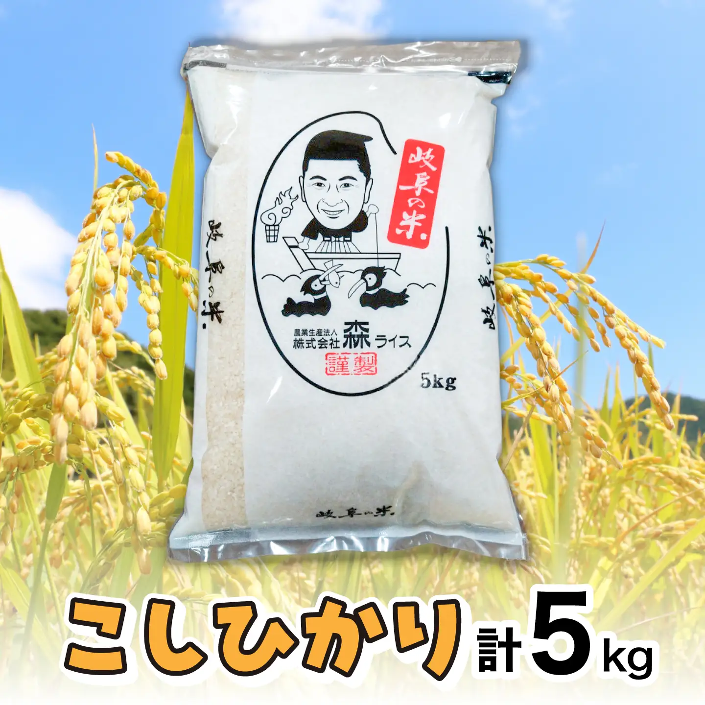 こしひかり 5kg 白米 米 精米 お米 岐阜市 / 森ライス[ANCU017]