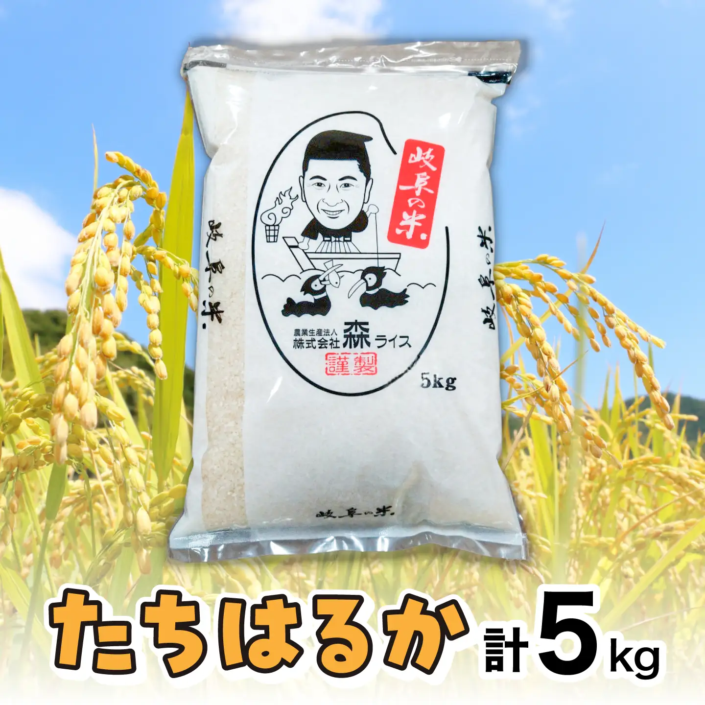 たちはるか 5kg 白米 米 精米 お米 岐阜市 / 森ライス[ANCU018]