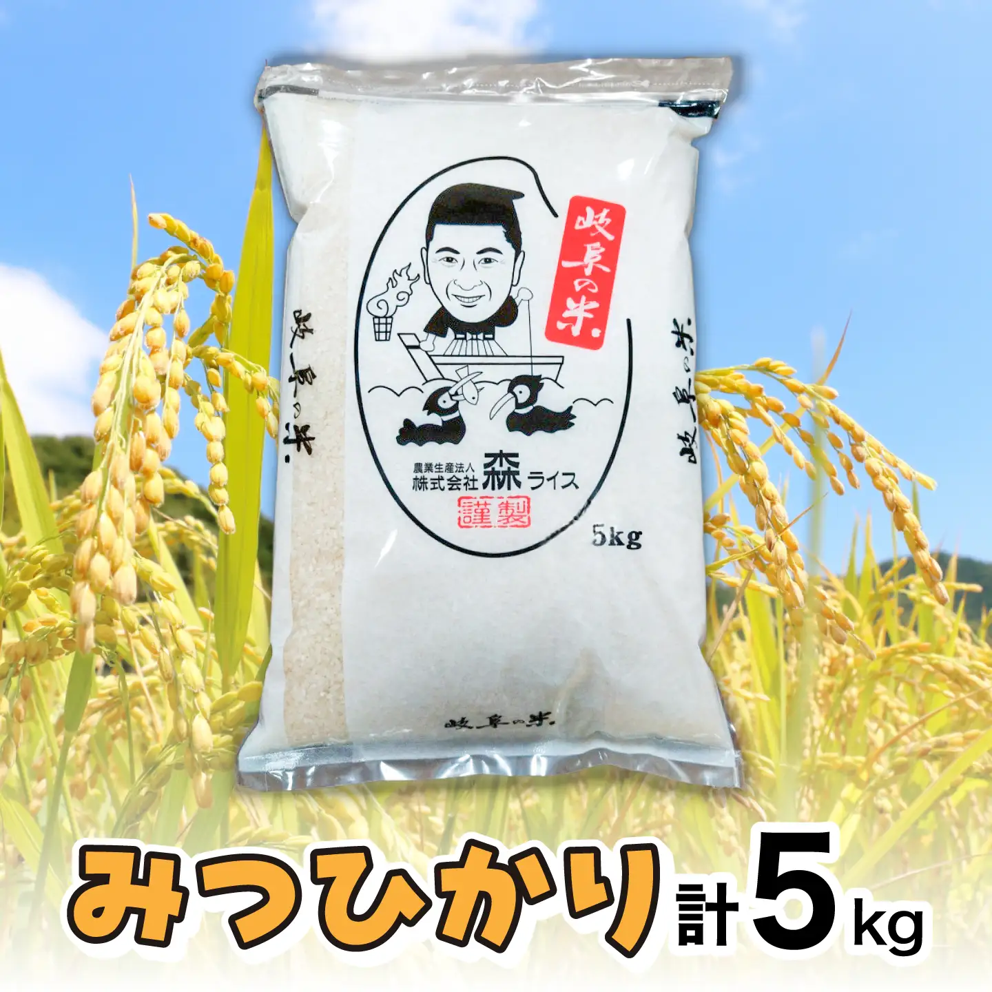 みつひかり 5kg 白米 米 精米 お米 岐阜市 / 森ライス[ANCU019]