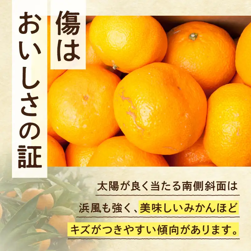 【2026年先行予約】家庭用 大きな有田みかん約7.5kg+250g（傷み補償分）【わけあり・訳あり】【光センサー選果】_ZH7118