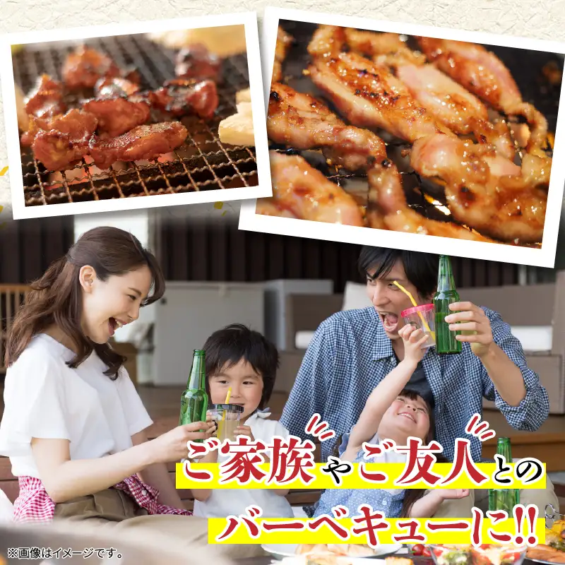 若鶏 焼肉 セット 合計4.2kg 鶏肉 国産 チキン_DA62-26