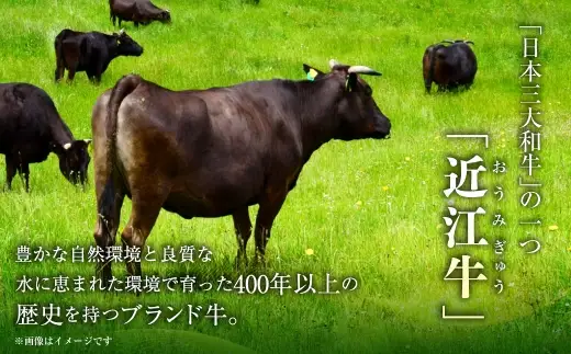 近江牛切落し 1,000g （ 250g × 4パック ） お肉 肉 ニク にく 牛肉 牛 国産 滋賀県産 冷凍 近江牛 おかず 晩酌 切落し