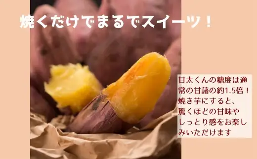 【先行予約】大分県が誇る高糖度さつまいも「甘太くん」5kg