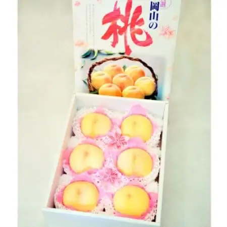 【2027年発送】岡山県産 極甘・樹熟し白桃 5-8玉(約2kg) 化粧箱入り【配送不可地域：離島】【1740177】