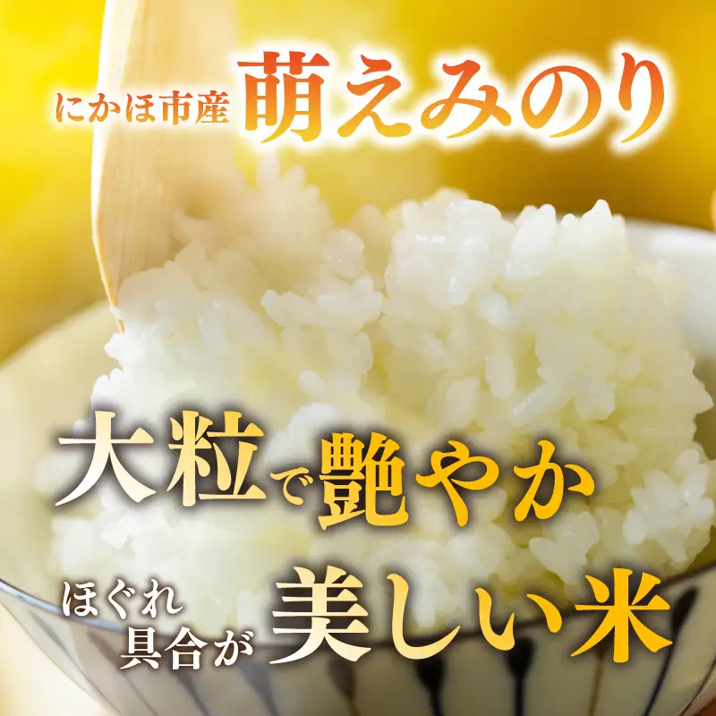 【新米先行予約】【6か月定期便】 萌えみのり 精米 10kg 【令和8年度産精米 白米 米 コメ お米 おこめ ブランド米 ご飯 ごはん 秋田 にかほ】