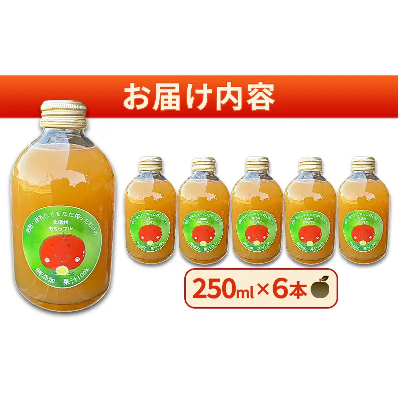 もちっプルのりんごジュース 果汁100% 250ml×6本 りんごジュース ジュース 飲料 100%果汁 サンふじ 山ノ内町 もっちーの畑