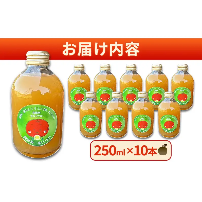 もちっプルのりんごジュース 果汁100% 250ml×10本りんごジュース ジュース 飲料 100%果汁 サンふじ 山ノ内町 もっちーの畑
