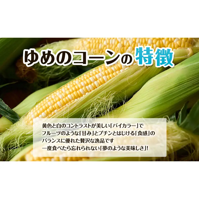 【2026年夏出荷】富良野産 とうもろこし ゆめのコーン 10本 (約5kg) L～LLサイズ 野菜 新鮮 直送 コーン とうきび 道産 北海道 幕田農園
