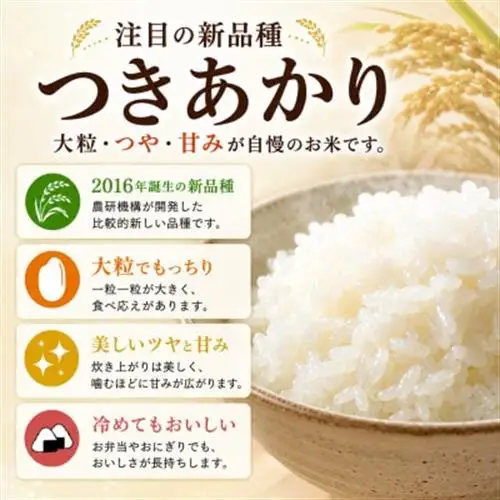 つきあかり　精米　10kg(5kg×2袋)【1748983】