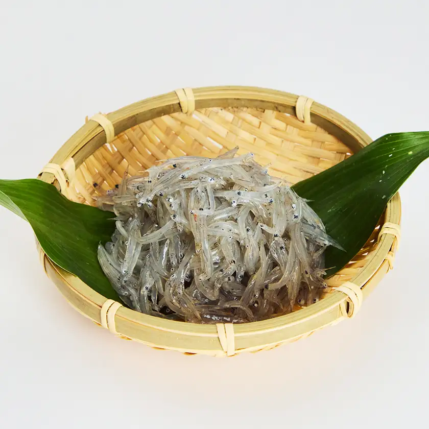 《1kg》特上新鮮生しらす(100g×10袋)漁師直送!鮮度が自慢　個包装で便利【配送不可地域：離島】【1737748】
