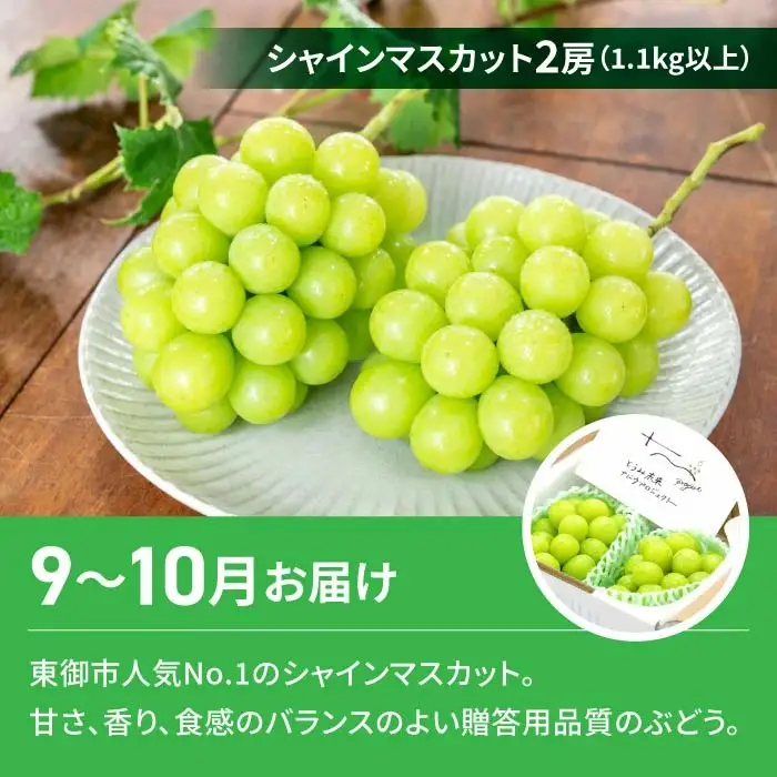 【2回定期便】高評価！シャインマスカットとご褒美スイーツ定期便（シャインマスカット 2房/信州檸檬ケーキ14個）｜【JA信州うえだ/御菓子処花岡】ぶどう 葡萄 大粒 果物 フルーツ 菓子 頒布会 長野