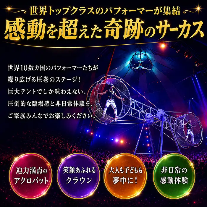 【期間限定】【ふるさと納税】ポップサーカス福井公演チケット　前売り入場券（大人） [H138-001a]