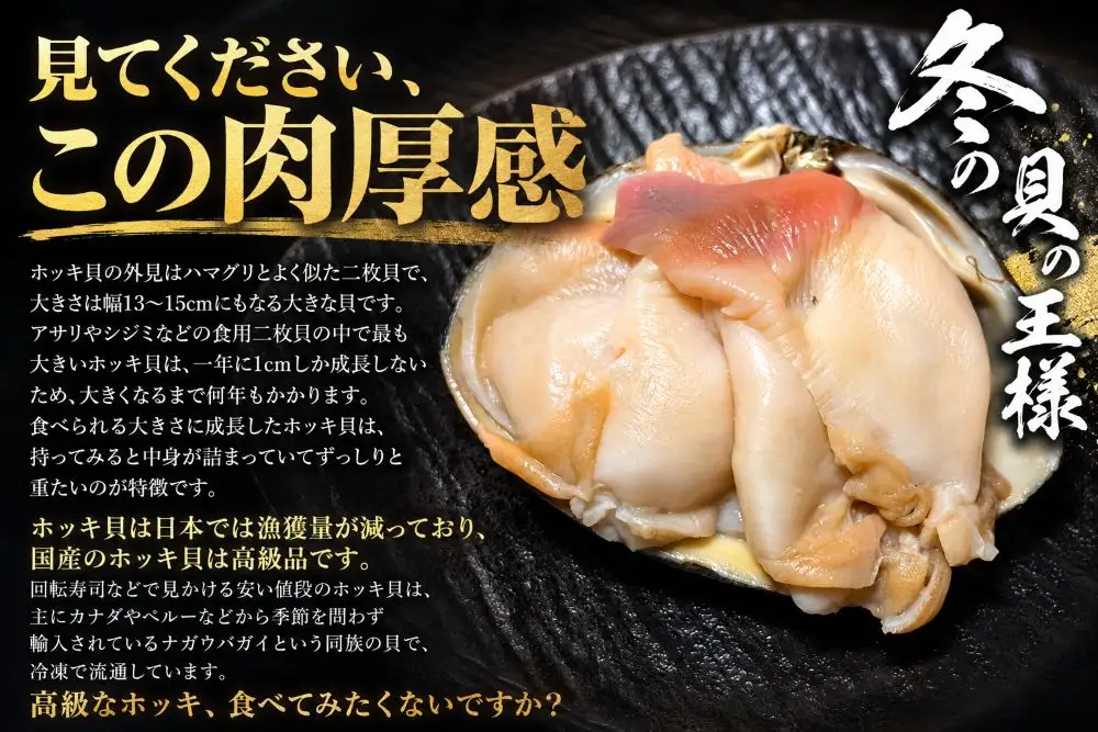 昆布締めホッキ貝　刺身用　２個（４玉分）【ホッキ貝　北寄貝　刺身　昆布締め　北海道産　肉厚　高級海鮮　広尾産業流通振興公社】