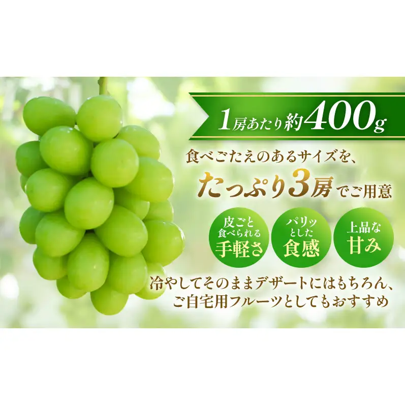 【★先行予約】【訳あり】長野県産シャインマスカット 約400g×3房 見た目にワケあり 味はそのまま 果物 旬のフルーツ 長野県 上田 信州