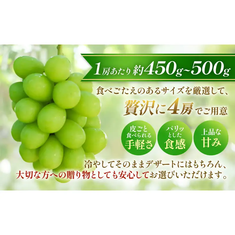 【★先行予約】【逸品】長野県産シャインマスカット 約450～500g×4房 贈答品対応可 果物 旬のフルーツ 長野県 上田 信州