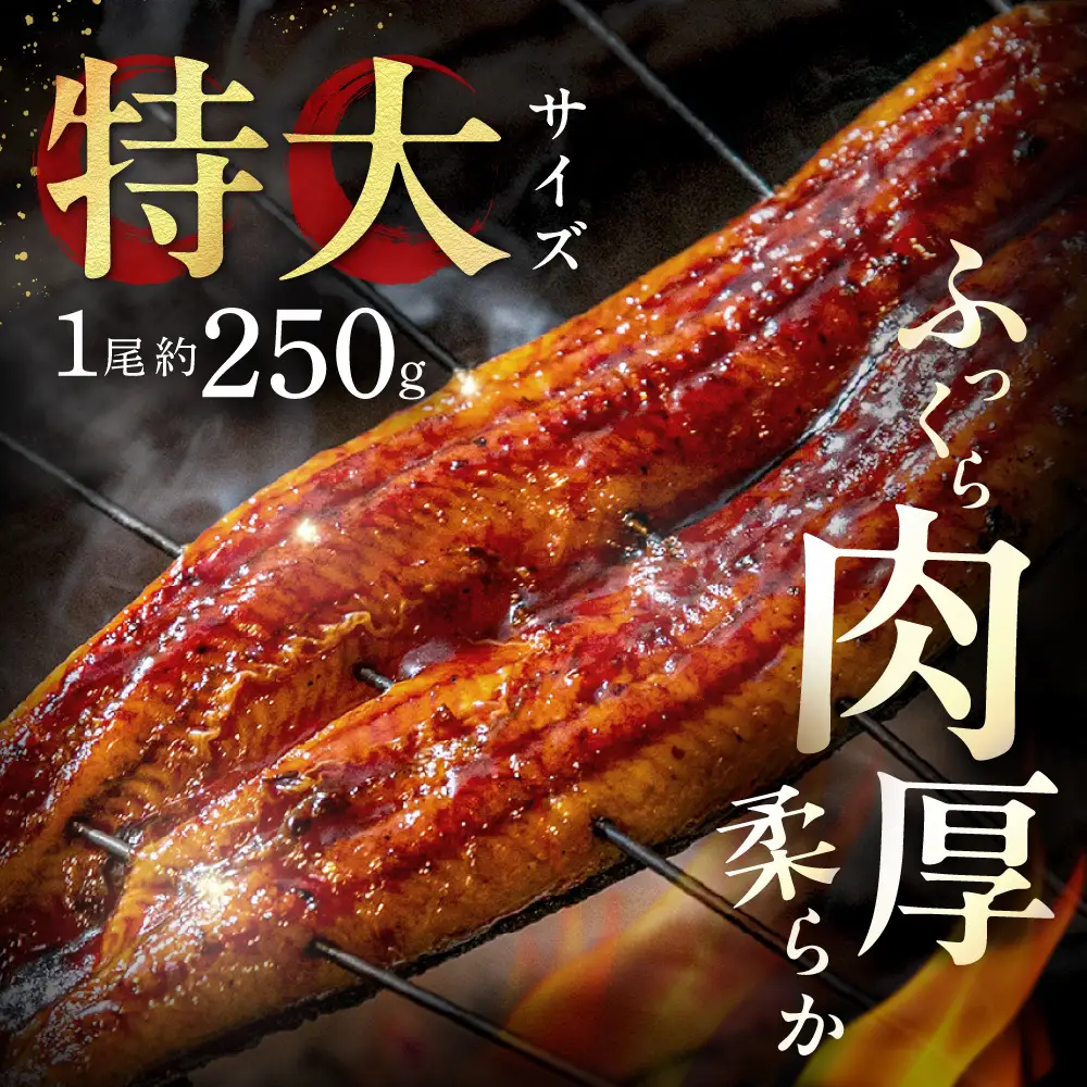 うなぎ蒲焼き4尾 計1.0kg以上(250g以上×4尾)【魚住商店】_HA1494