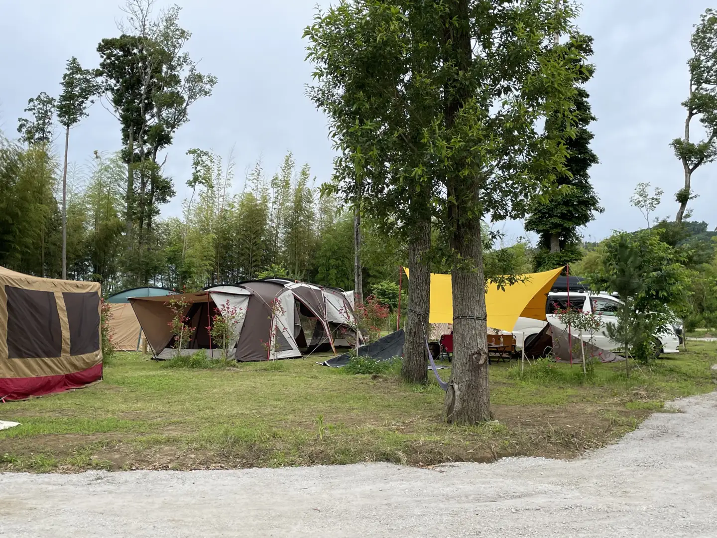 【 都心 から70分！】令和6年 新設 の キャンプ場 ★CAMP さくらの丘 利用券 【 10,000円 分】| キャンプ  宿泊 千葉県