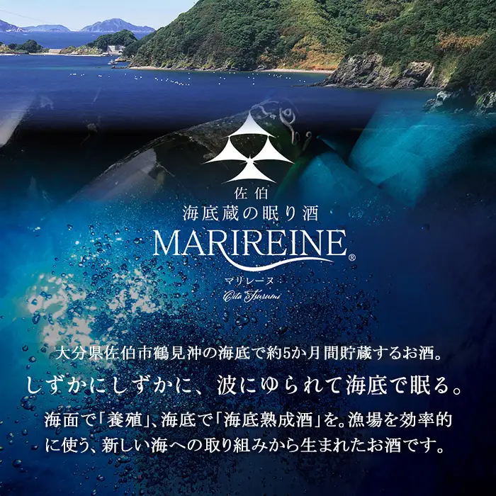 海底貯蔵 赤ワイン MARIREINE ロネア コート デュ ローヌ レジョンド デ トック2024 (750ml・1本) ワイン 赤ワイン 酒 パーティー 海底蔵の眠り酒 熟成 大分県 佐伯市【FP033】【フルタ酒店】