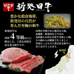 【地域に愛され30年】カレー 200g×5袋 新発田牛 ビーフ カレー enomoto016_01