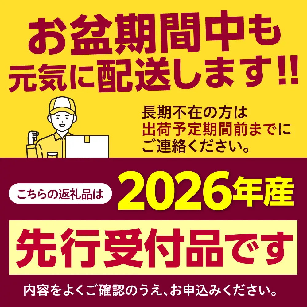 とうもろこし 北海道十勝芽室町 とうもろこし 13本 スイートコーン