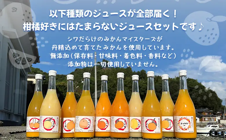 ＜一歩会 ジュエリーボックス ジュース飲み比べセット 720ml×18本入り（果汁100%ストレートジュース）愛媛 みかん＞ ミカン 柑橘 果物 フルーツ 特産品 渡江から一歩を踏み出す会 飲んで応援 愛媛県 西予市【常温】『2026年6月10日〜8月15日迄に順次出荷』ATI0059