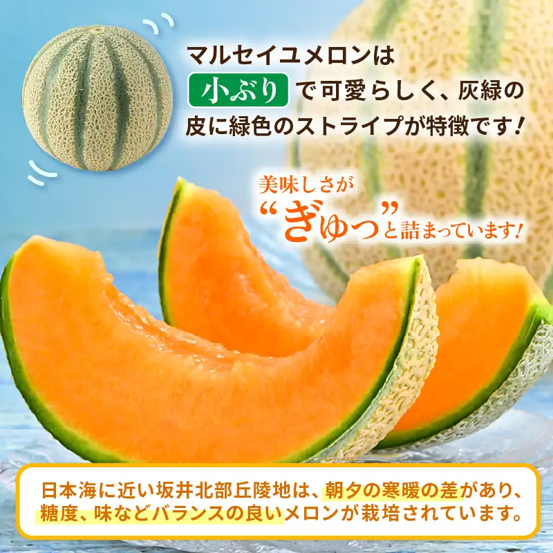 【先行予約】マルセイユメロン 4玉 約5.2kg前後（約1.3㎏前後×4玉）大人気の赤肉品種！高級メロンの味わい ／ 果物 フルーツ ギフト 農家直送 ※2027年6月上旬以降順次発送  [aw065-a019]