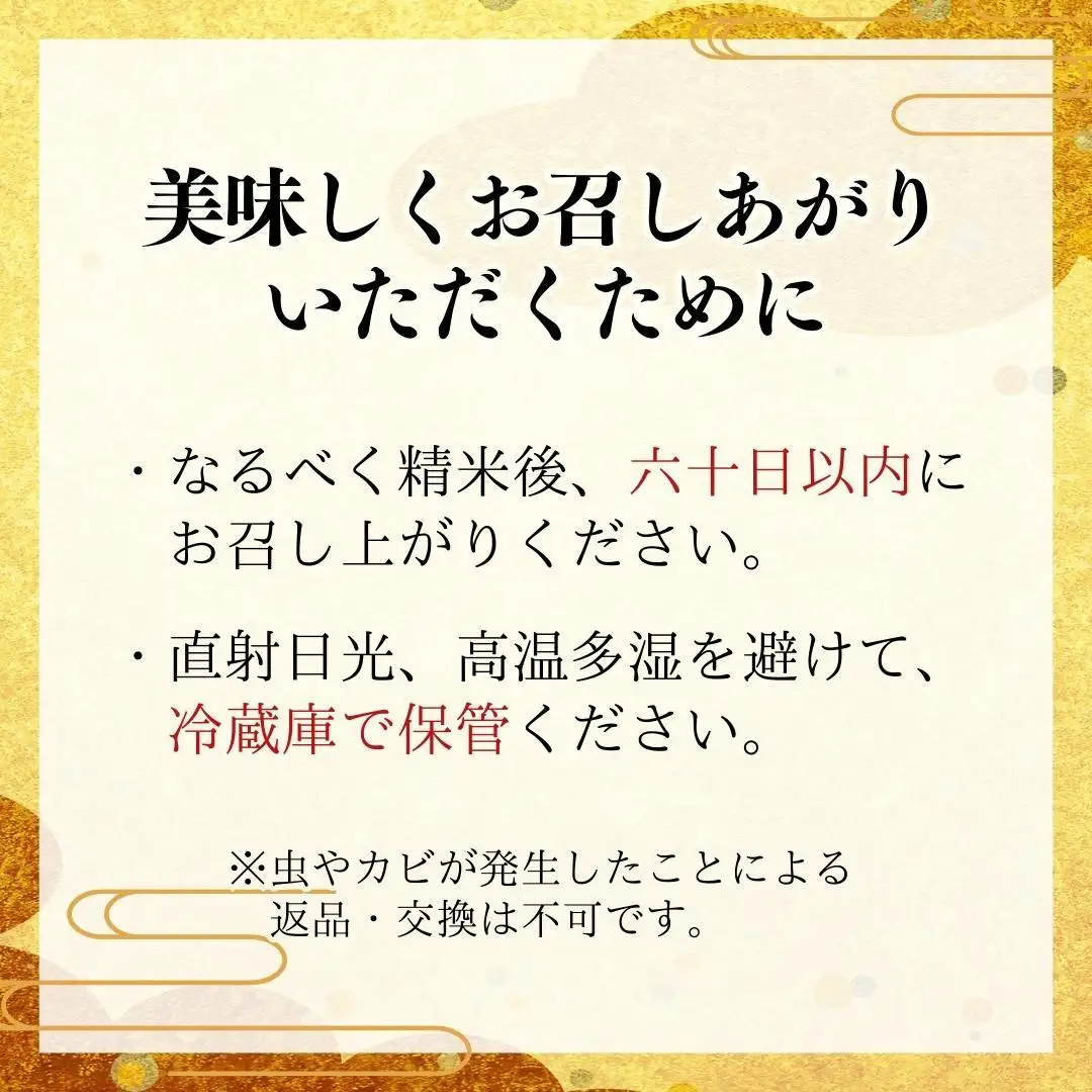 ＼スピード出荷／ 令和7年産 茨城県 桜川市産 こしひかり10kg（5kg×2袋） スピード 最短 7日 すぐ届く すぐ発送 スピード発送 早い 米 お米 白米 コメ ごはん 精米 コシヒカリ 国産 限定 銘柄米 [SC050sa-sp]