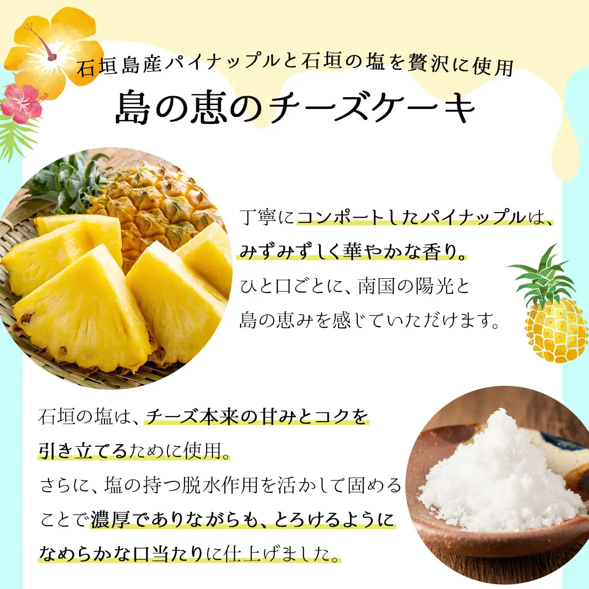石垣の海のチーズケーキ 18cm