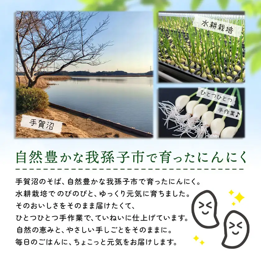 にんにくスプラウト 5袋 株式会社ANELA GROW