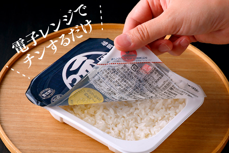 BC007.福岡県産「元気つくし」無菌パックご飯(４８パック)