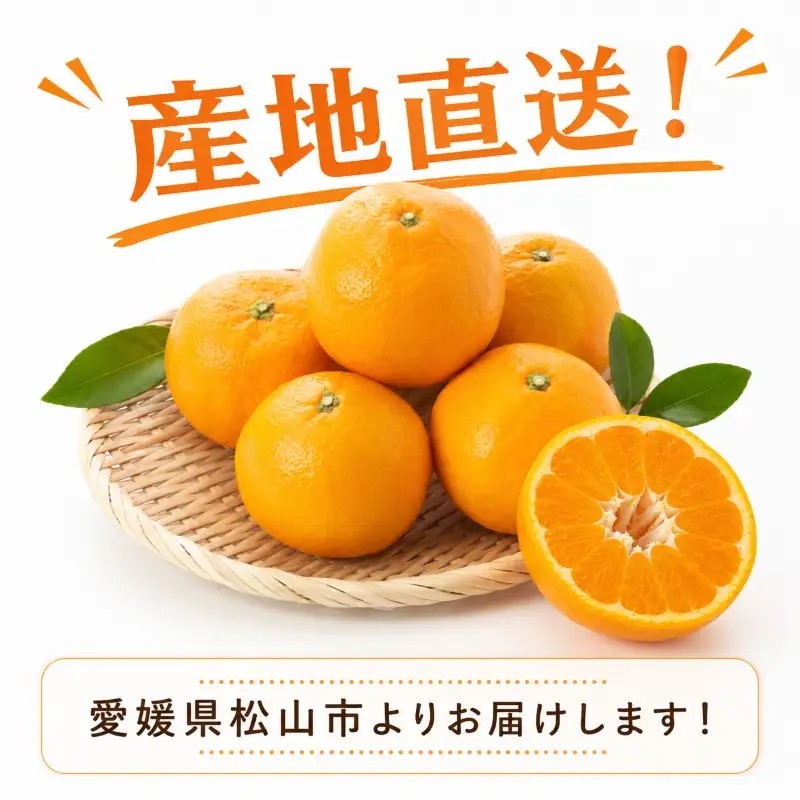【2027年2月上旬より発送】伊予柑 約9.0kg 家庭用 愛媛県産 みかん | いよかん ミカン フルーツ 果物 くだもの 農家直送 愛媛県 松山市産 【YBN004】