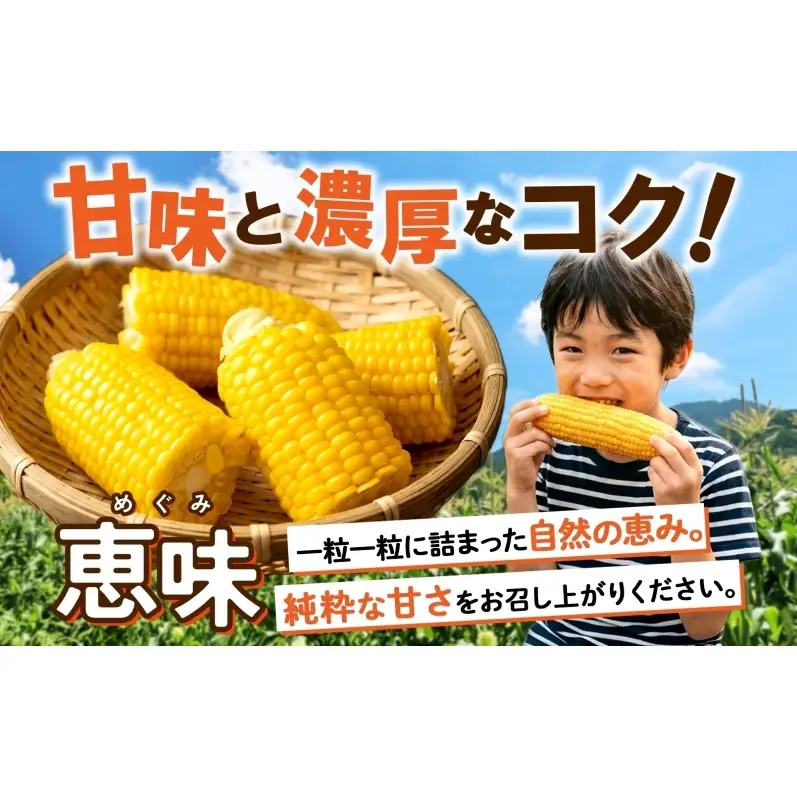 朝もぎ イエロー とうもろこし 恵味 2Lサイズ 26本 約10kg 大きめ 夏野菜 とうきび 旬 新鮮 野菜 トウモロコシ 甘い ギフト 産地直送 コーン 産直 グリーンアースファーム 送料無料 北海道 倶知安町
